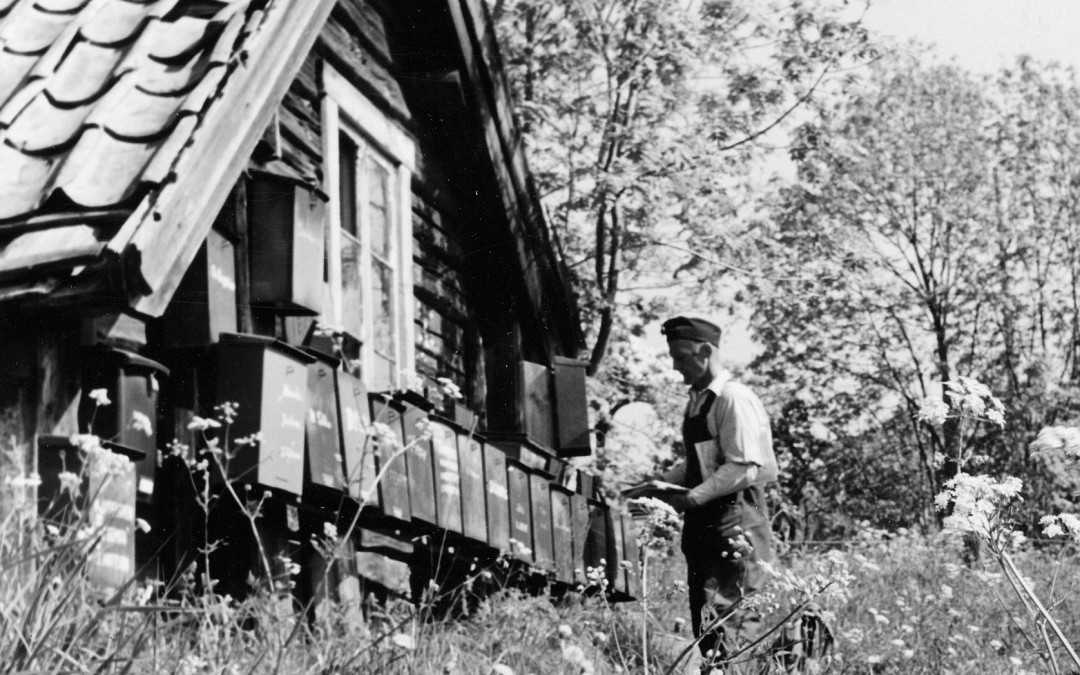 Syd 32: Östra Lagnö