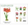 Julblommor stående, Koustrup & Co. Förpackning med 8 stycken dubbla julkort. - Bild 2