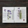 Sommarblomster, stående, Koustrup & Co. Förpackning med 8 stycken dubbla kort. - Bild 3