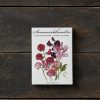 Sommarblomster, stående, Koustrup & Co. Förpackning med 8 stycken dubbla kort. - Bild 2