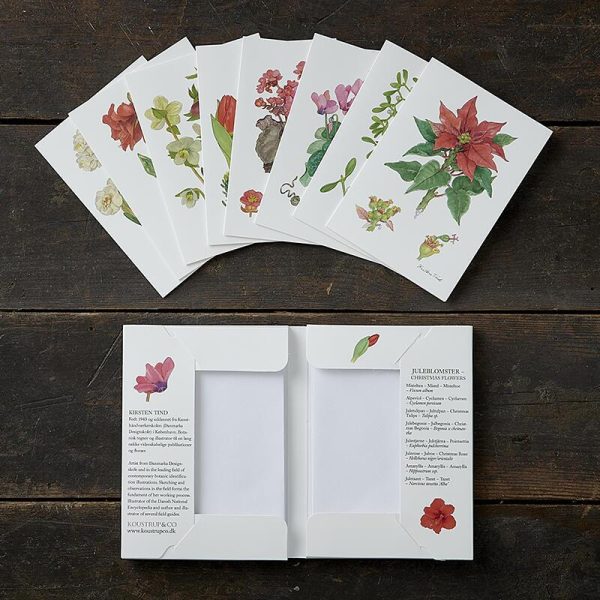Julblommor stående, Koustrup & Co. Förpackning med 8 stycken dubbla julkort.