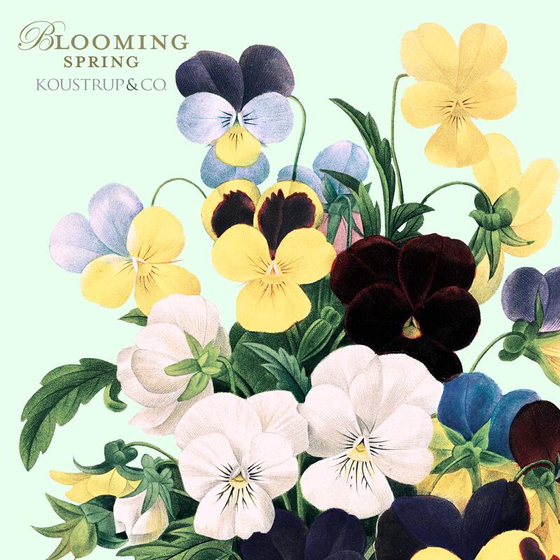 Blooming spring, Koustrup & Co. Förpackning med 8 stycken dubbla kort. - Bild 2