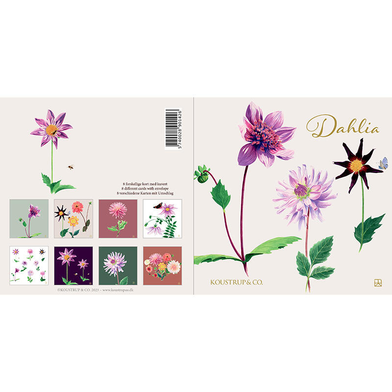 Dahlia, Koustrup & Co. Förpackning med 8 stycken dubbla kort.