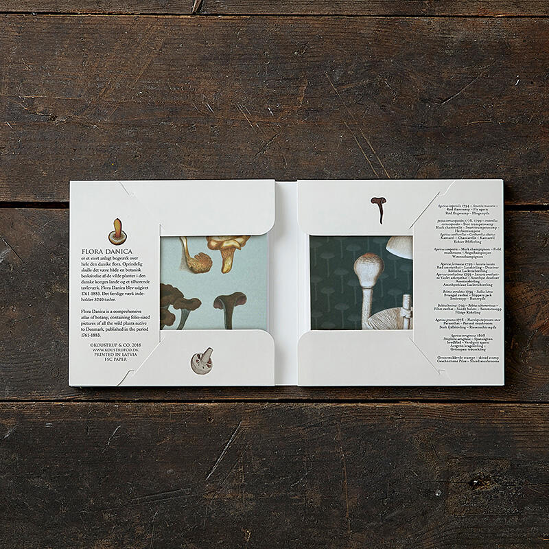 Svampar, Koustrup & Co. Förpackning med 8 stycken dubbla kort. - Bild 4