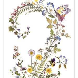 Dubbelt kort, Wild Press -Ahpornsiri, Insekter och blommor