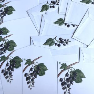 Vinbär brevpapperset, 10 kuvert och 10 brevpapper