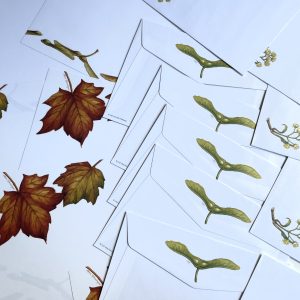 Höst brevpapperset, 10 kuvert och 10 brevpapper