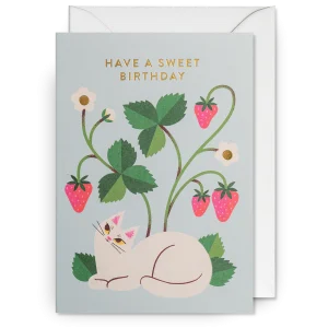 Dubbelkort, Essi Kimpimäki "Have a Sweet Birthday", Lagom Design