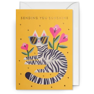 Dubbelkort, Essi Kimpimäki "Sending You Sunshine ", Lagom Design