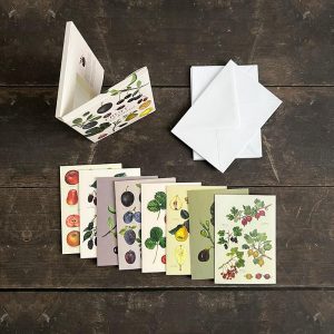 Fruit & berries, stående, Koustrup & Co. Förpackning med 8 stycken dubbla kort.